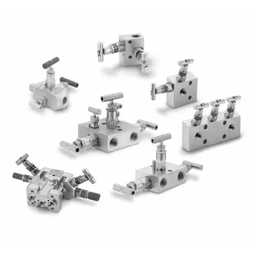 Manifold
