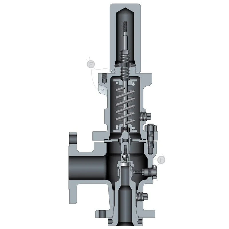 Miniatura 2 - Válvula de seguridad bridada
